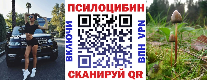 Псилоцибиновые грибы Cubensis  Шебекино 